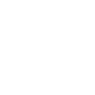 DH Logo